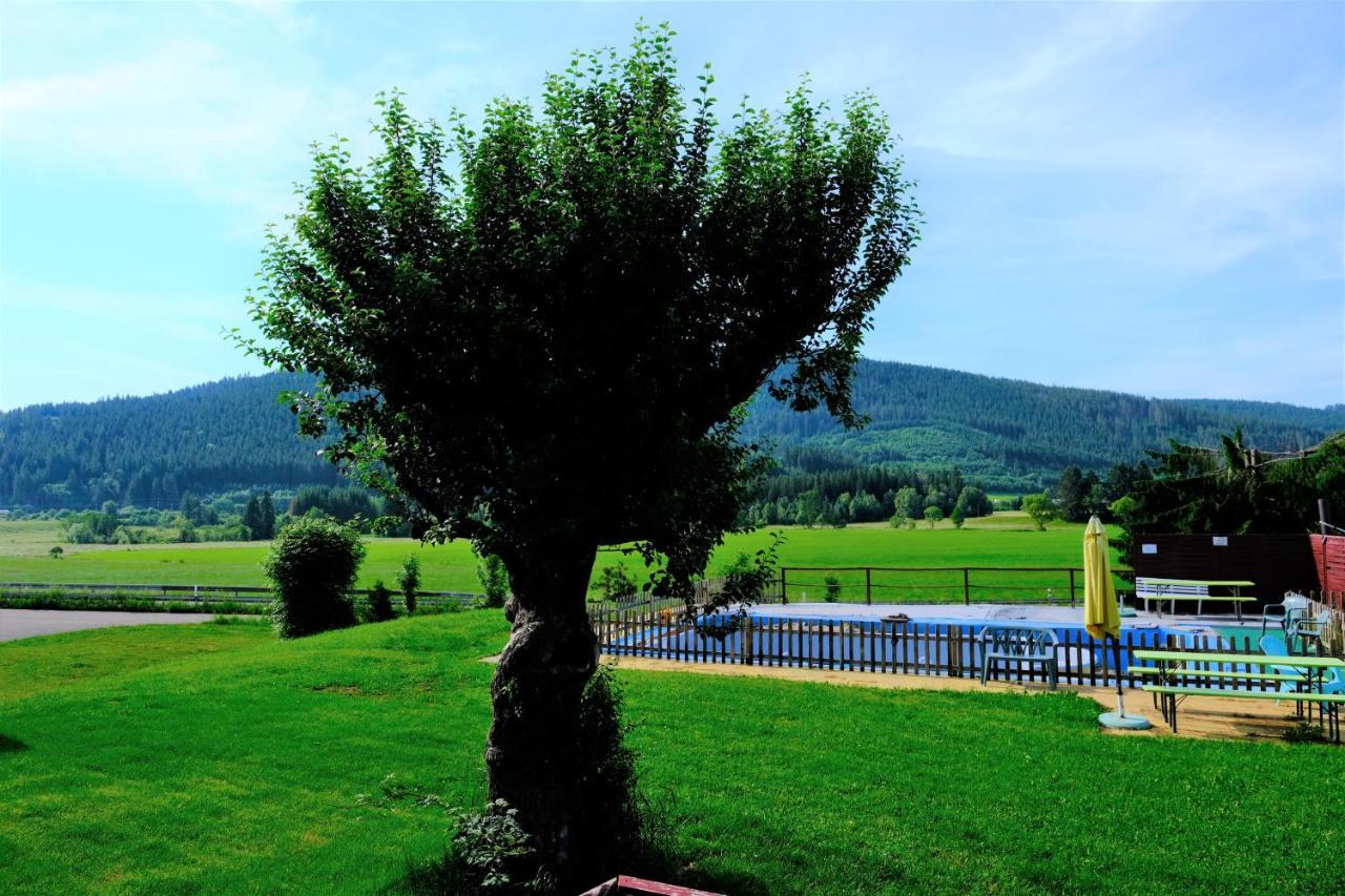 B Und B Titisee Hotel Sonnenmatte Nahe Badeparadies Titisee-Neustadt Exterior foto